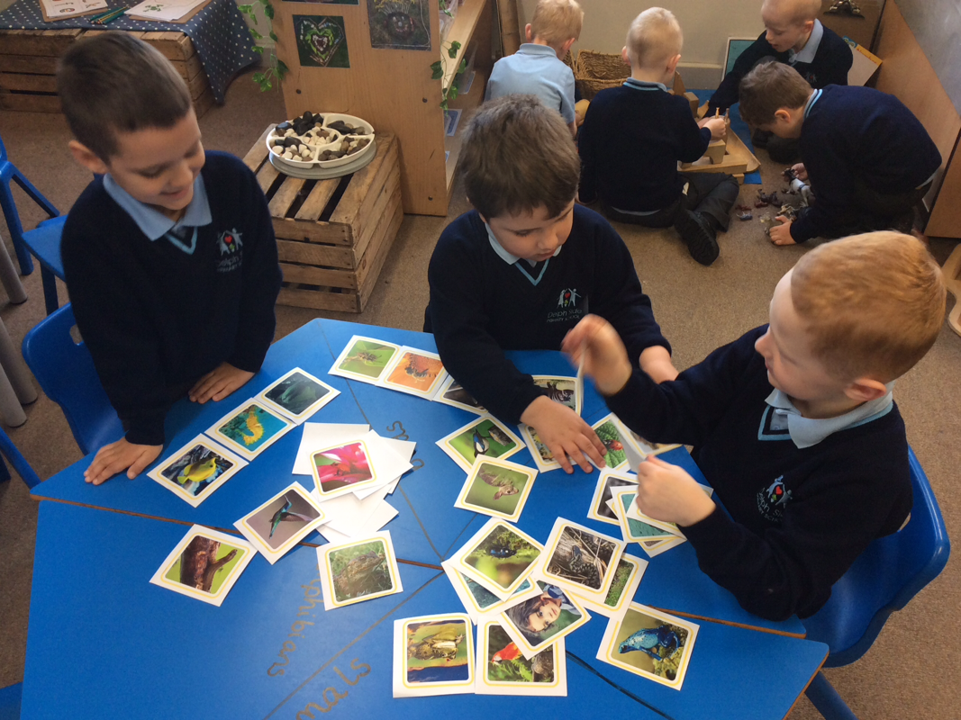 Image of Year 1 - Classifying animals!
