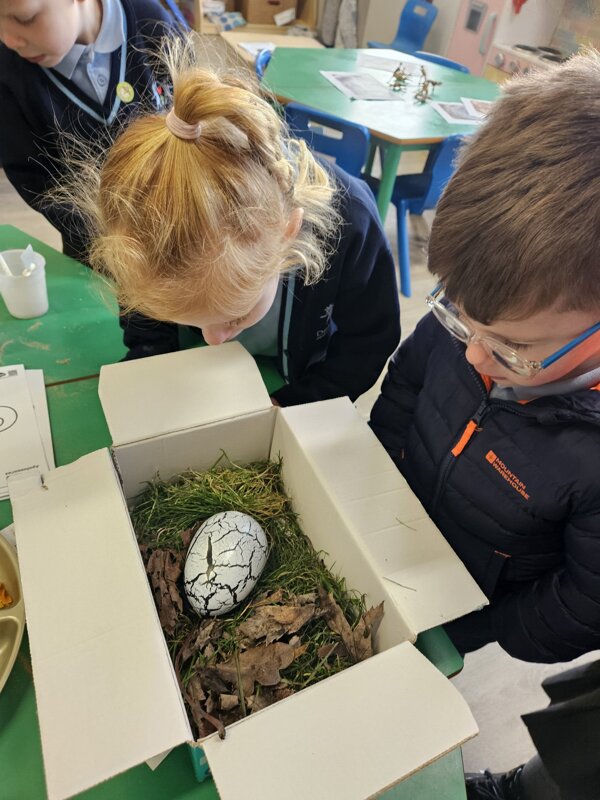 Image of Reception- Dinosaur egg discovery