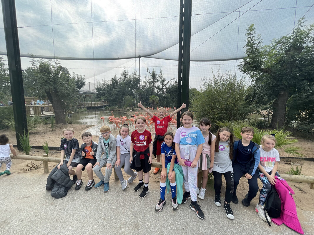 Image of Chester Zoo! Year 5