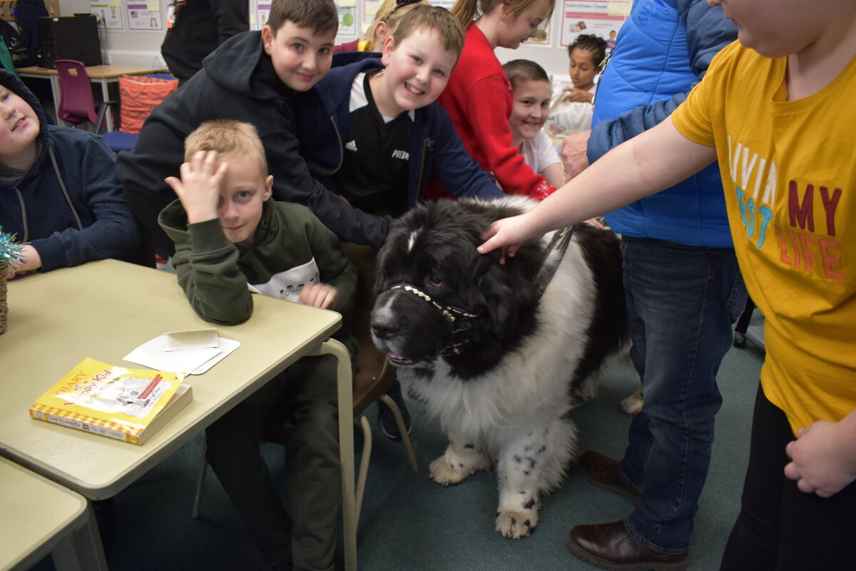 Image of Y6 Meet Monty Dogge