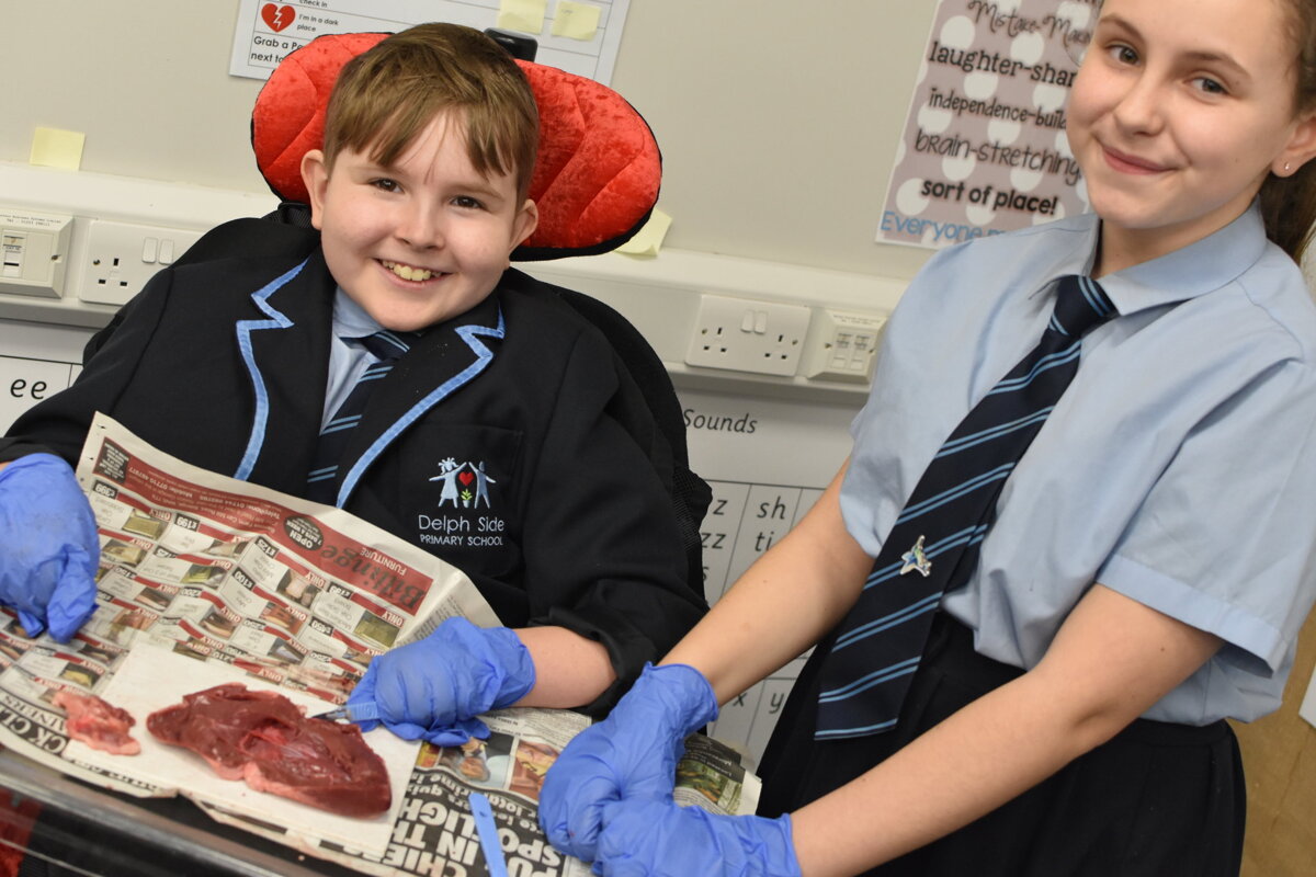 Image of Year Six Heart Dissecting