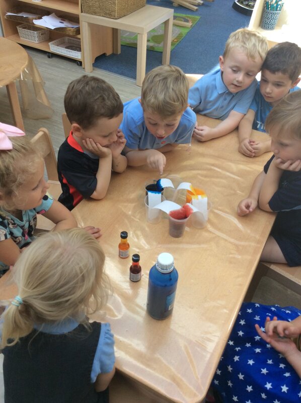 Image of Pre School- STEM- mixing colours 