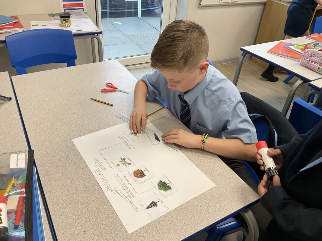 Image of Classifying Plants in Year 6!