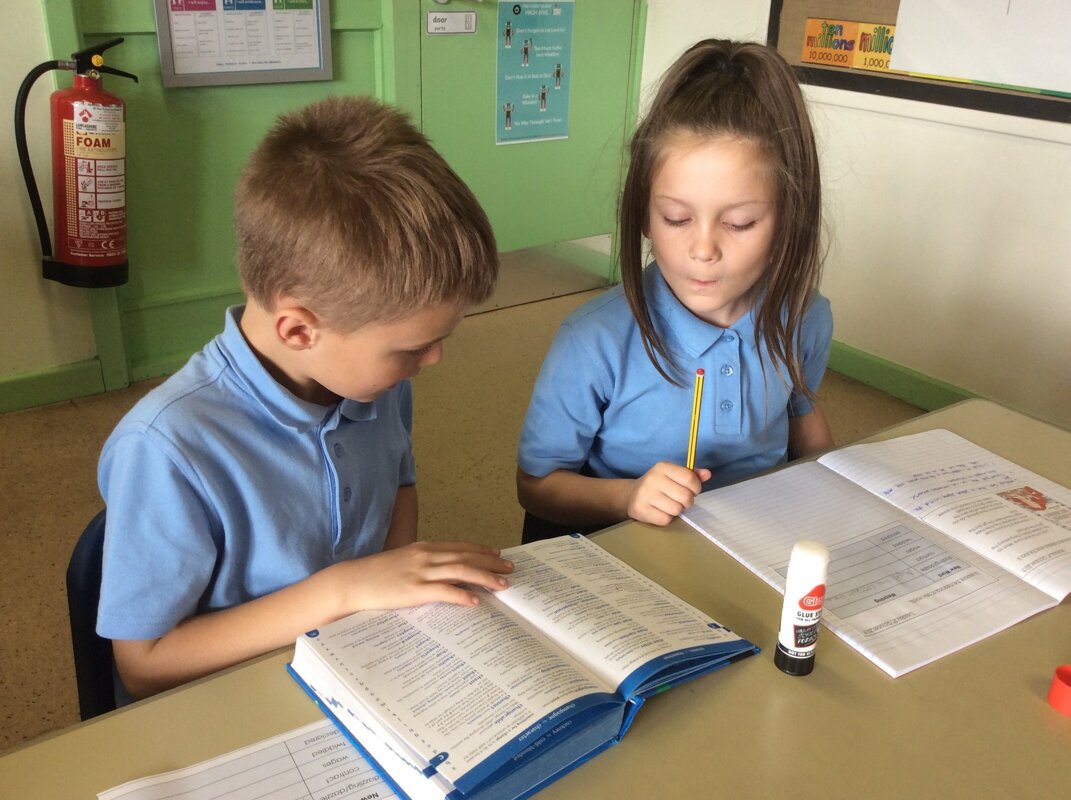 Image of Year 4 - Using the dictionary 