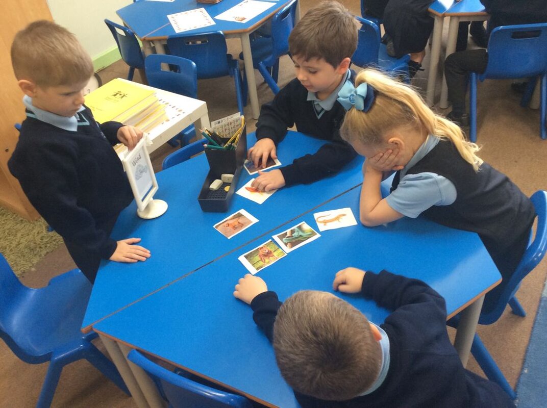 Image of Sorting animals into groups in Y1! 