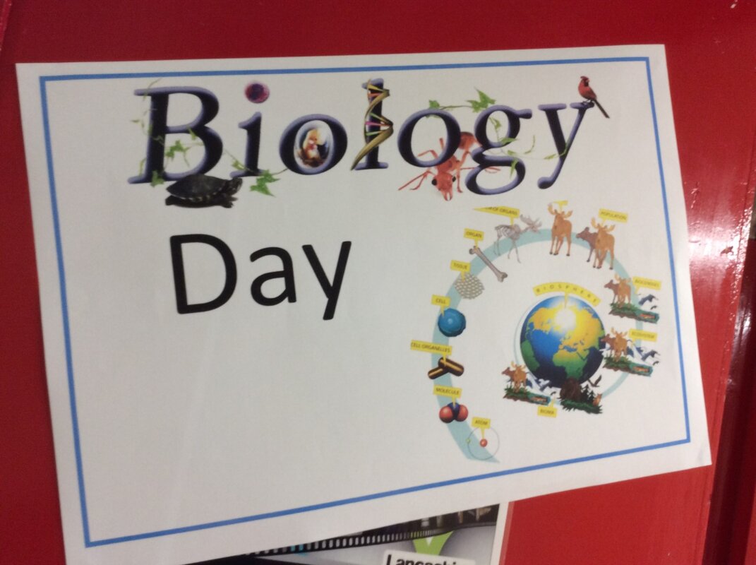 Image of Year 3 - Science Week - Biology Day