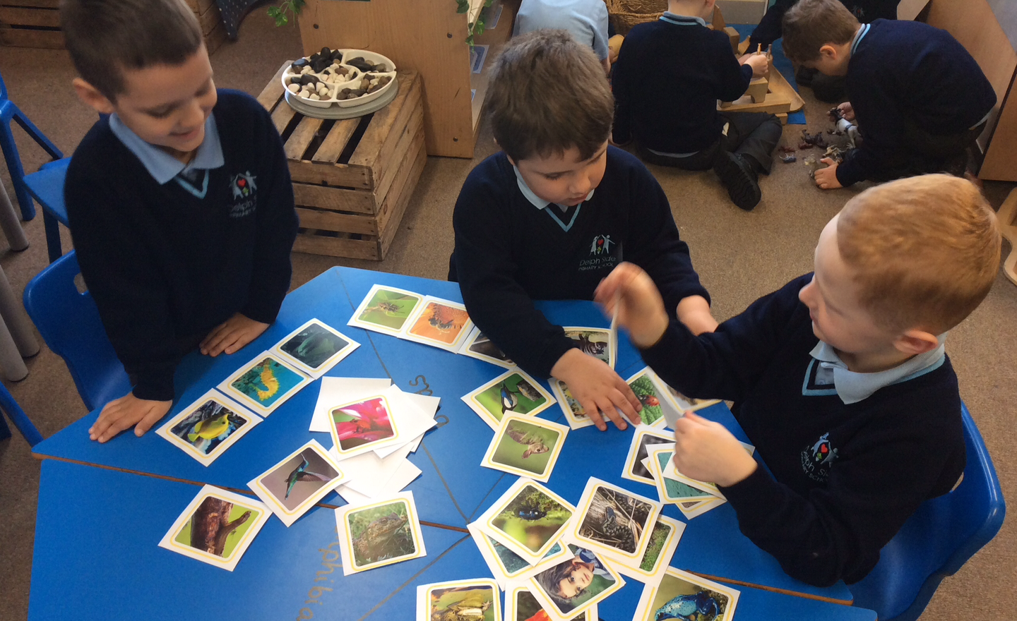 Image of Year 1 - Classifying animals!