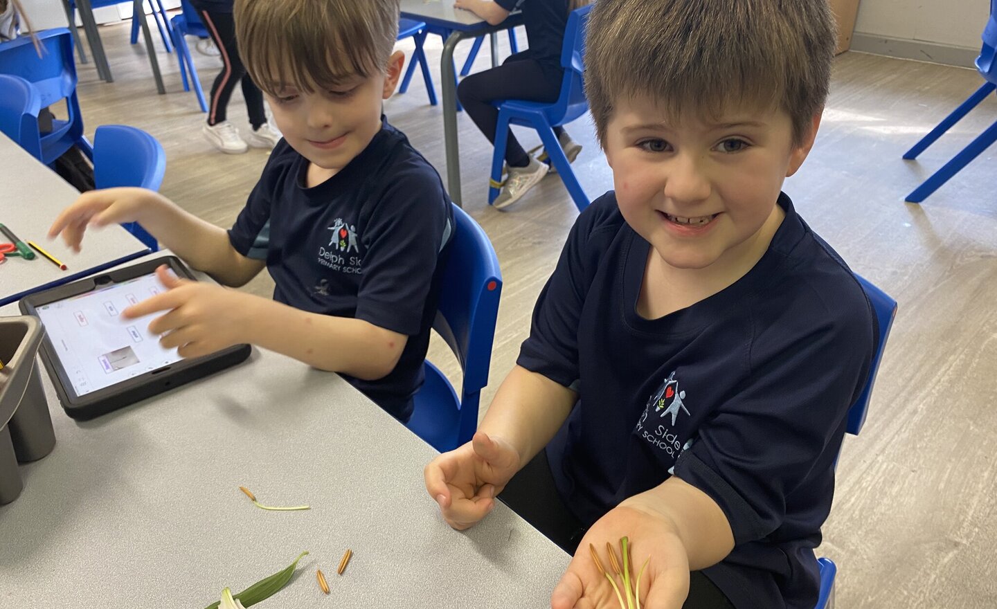 Image of Year 3 - Dissecting a flower