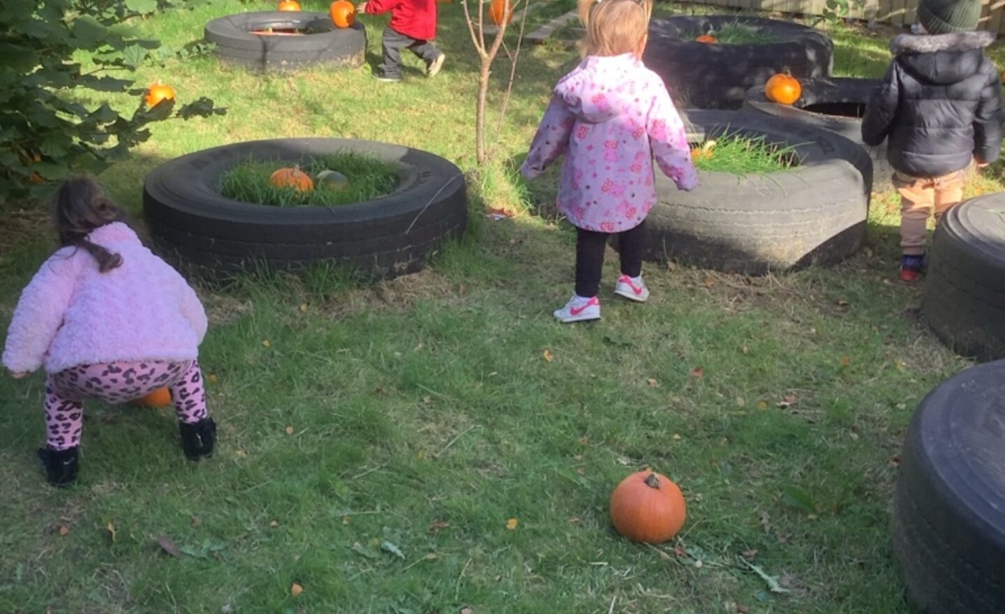 Image of Nursery 2's - Pumpkins and Potions!