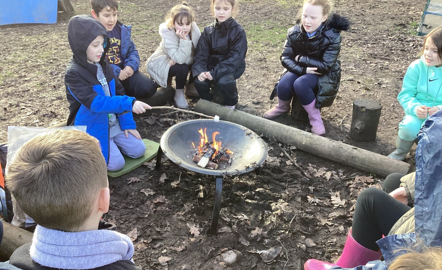 Image of Final Forest School Session! 