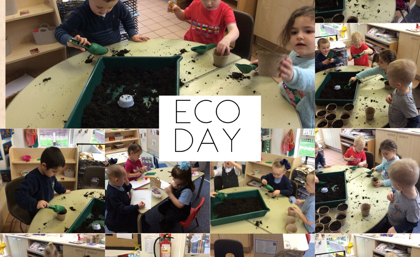 Image of Eco Day- Planting Flowers for the Bees 