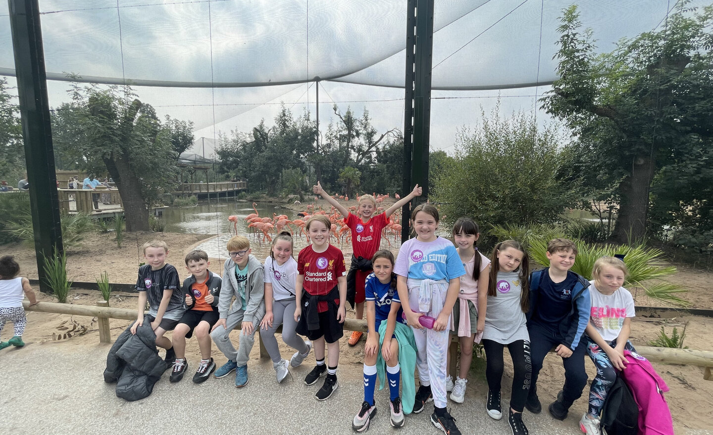 Image of Chester Zoo! Year 5
