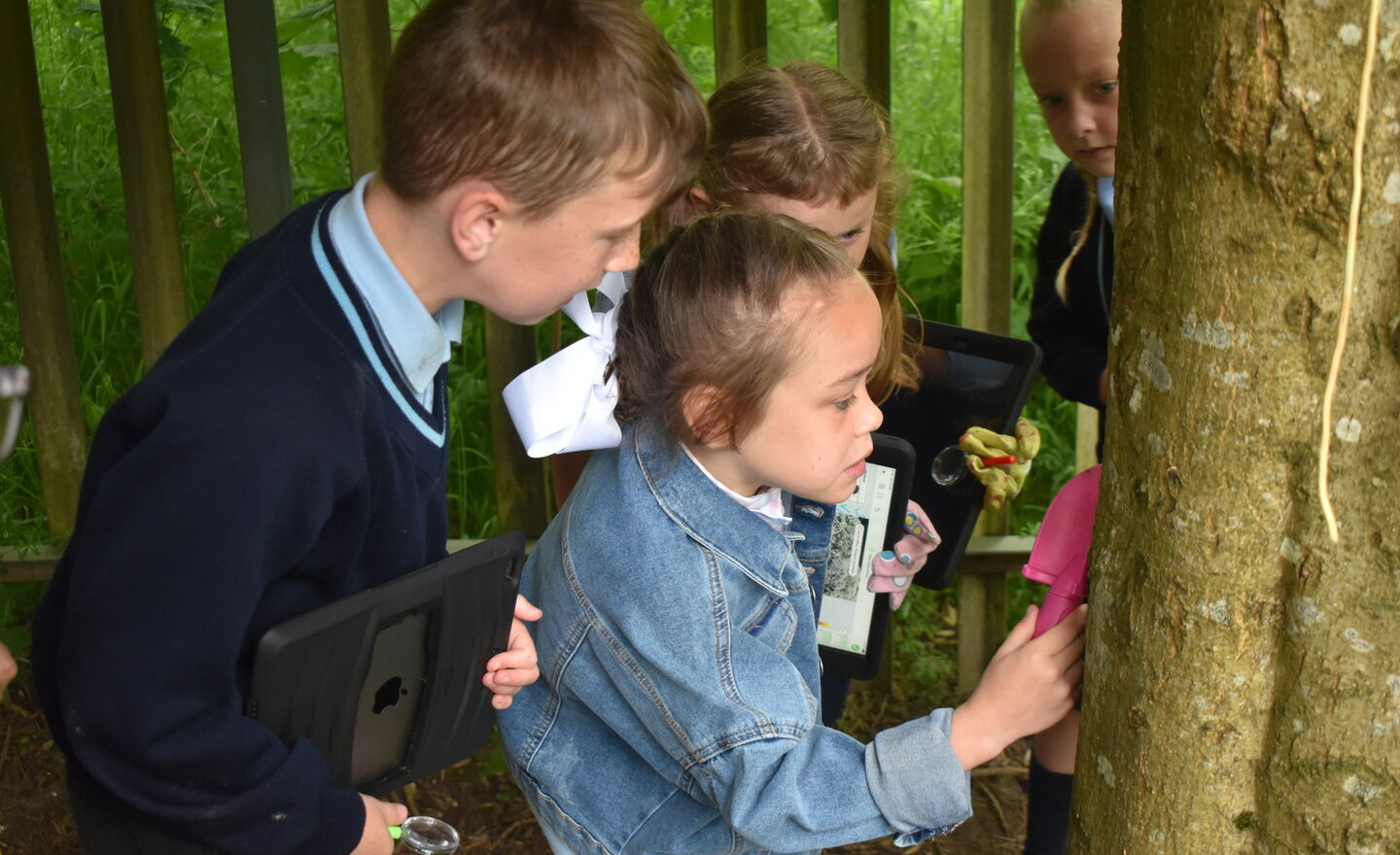 Image of Year 2 - On a Microhabitats Hunt