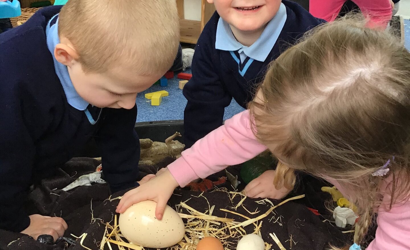 Image of Nursery- Guess what is growing inside this egg!