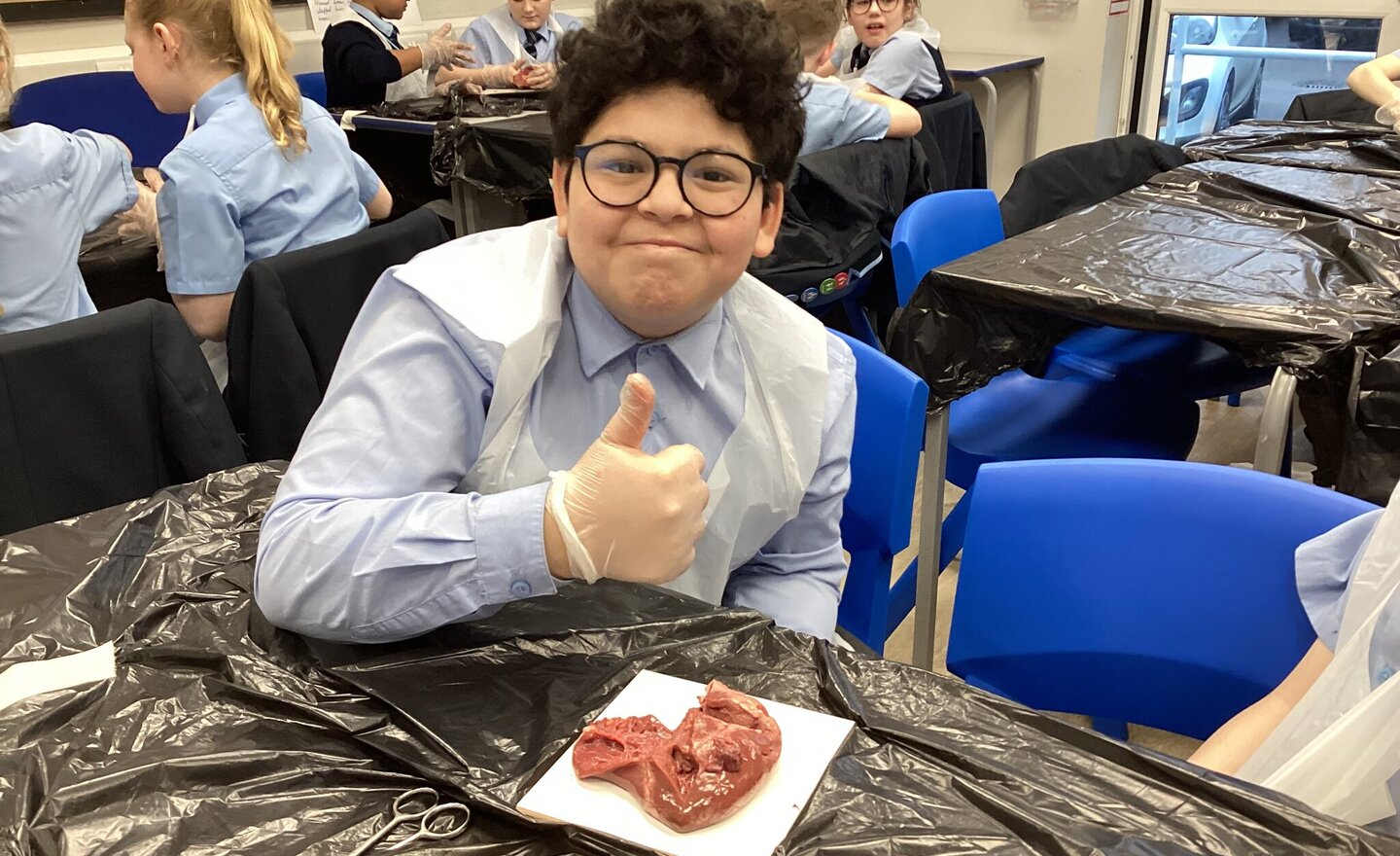 Image of Heart Dissection in Year 6 Science!