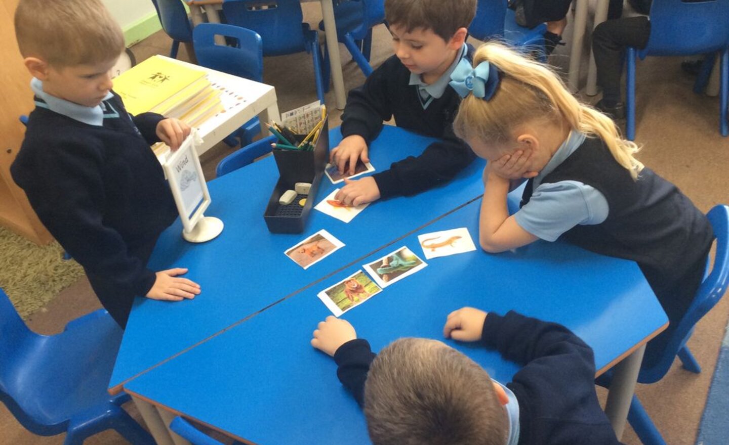 Image of Sorting animals into groups in Y1! 