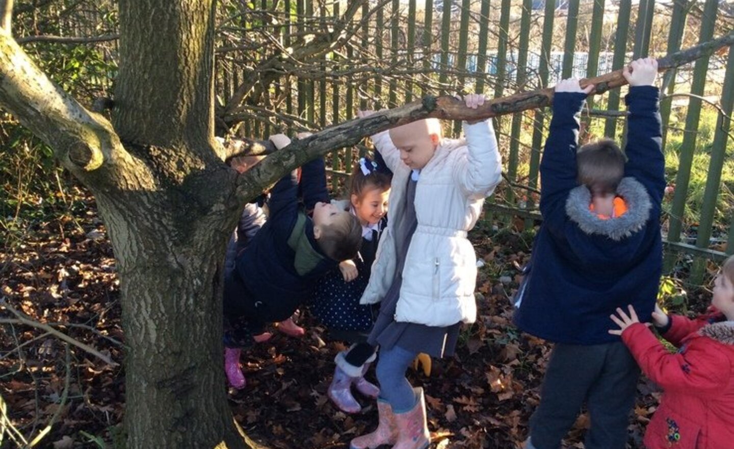 Image of Exploring in our new 'Woodland School'...